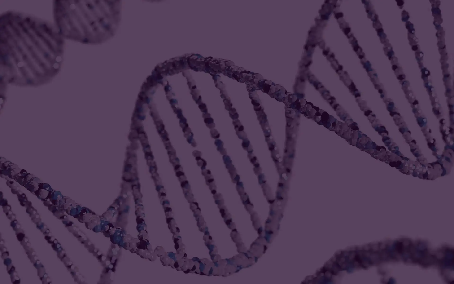 dna strand